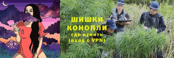apvp Богданович